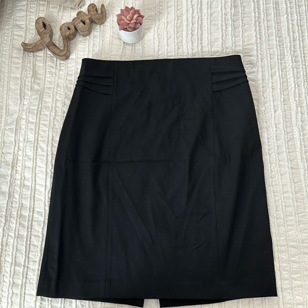 Express Pencil Skirt